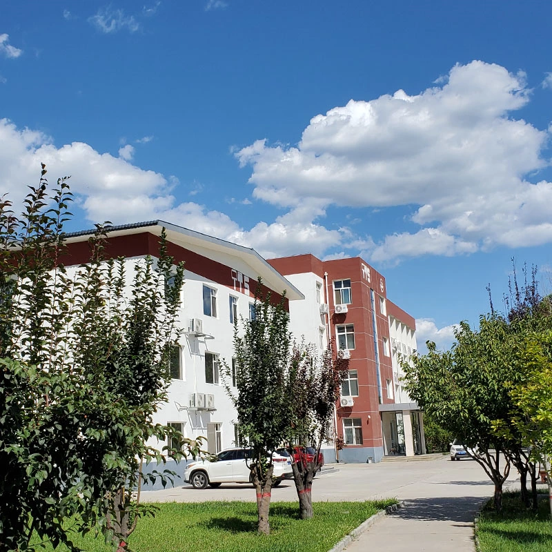 Hay muchos tipos de pinceles, cómo elegir el pincel adecuado