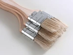 Natural bristle paint brush